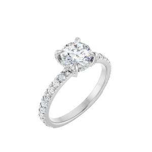 Pavé.Ess003-1
