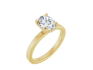 Hidden halo ring met Lab Grown Ovaal