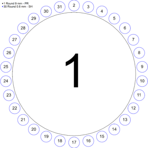 14K Geelgoud 9 mm Rond 4-Prong Hidden Halo-stijl Zetkop met stift